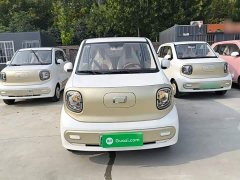 FAW Besturn Xiaoma 222km Colorful Edition - ფოტო 3