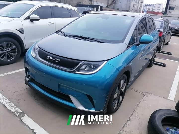 BYD Dolphin 401km Knight Edition - ავტომობილი ჩინეთიდან