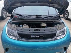 BYD Dolphin 401km Knight Edition - ფოტო 16