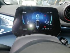 BYD Dolphin 401km Knight Edition - ფოტო 8