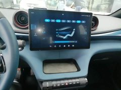 BYD Dolphin 401km Knight Edition - ფოტო 9