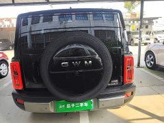 Haval Manlong New Energy 2026 Hi4 200 Ultra Pilot Edition Ternary Lithium - ფოტო 6