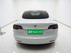 Tesla Model 3 Standard Range RWD Upgrade 3D6 - ფოტო 4