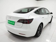 Tesla Model 3 Standard Range RWD Upgrade 3D6 - ფოტო 5