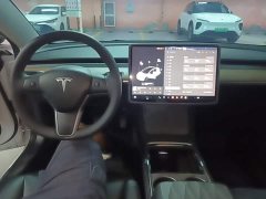 Tesla Model 3 Standard Range RWD Upgrade 3D6 - ფოტო 6