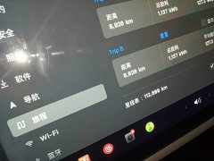 Tesla Model 3 Standard Range RWD Upgrade 3D6 - ფოტო 8