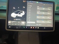 Tesla Model 3 Standard Range RWD Upgrade 3D6 - ფოტო 9