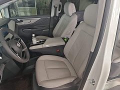 Buick GL8 Luzun Respect Edition - ფოტო 15
