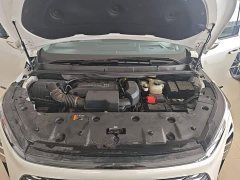 Buick GL8 Luzun Respect Edition - ფოტო 20
