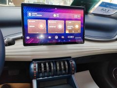 BYD Yuan Plus 2022 510KM Respect and Honor Edition - ფოტო 13