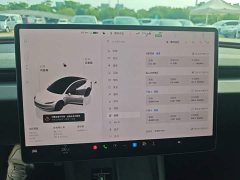 Tesla Model 3 Rear-Wheel Drive - ფოტო 12
