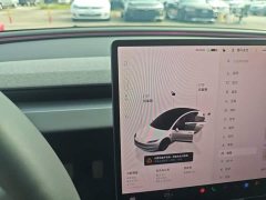 Tesla Model 3 Rear-Wheel Drive - ფოტო 14