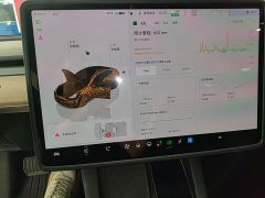 Tesla Model 3 2022 Rear-Wheel Drive - ფოტო 12