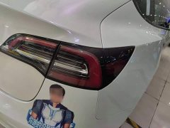 Tesla Model 3 2022 Rear-Wheel Drive - ფოტო 8