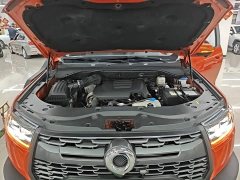 Volkswagen Cannon 2021 2.0T Off-road Auto Diesel 4WD Everest Edition GW4D20M - ფოტო 20
