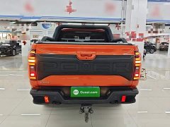 Volkswagen Cannon 2021 2.0T Off-road Auto Diesel 4WD Everest Edition GW4D20M - ფოტო 6