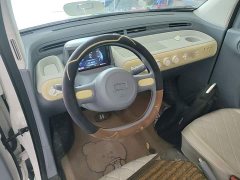 FAW Besturn Xiaoma 170km Vitality Edition - ფოტო 10