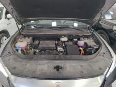 BYD Song Pro New Energy DM-i 71KM Glory Edition Pilot - ფოტო 20