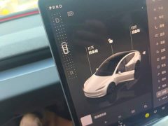 Tesla Model 3 2026 Rear-Wheel Drive - ფოტო 14