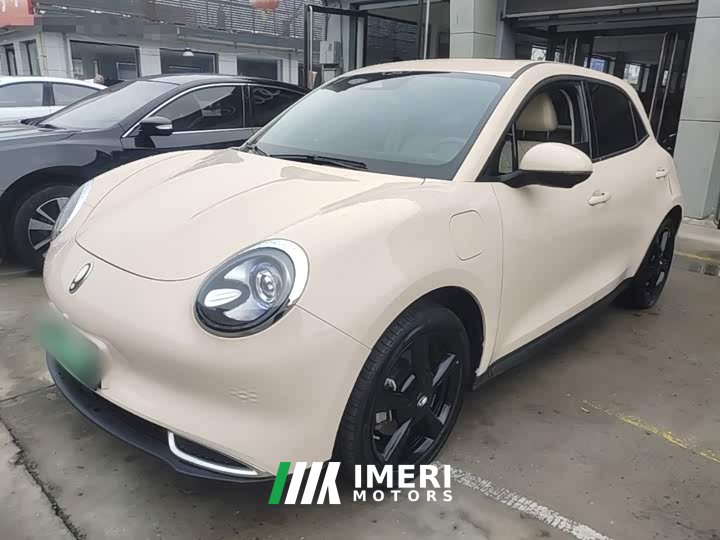 ORA Good Cat 401km Luxury - ავტომობილი ჩინეთიდან