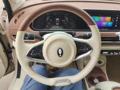 ORA Good Cat 401km Luxury - ფოტო 11