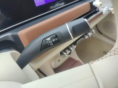 ORA Good Cat 401km Luxury - ფოტო 14