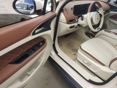 ORA Good Cat 401km Luxury - ფოტო 16
