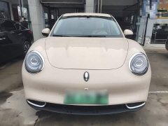 ORA Good Cat 401km Luxury - ფოტო 3
