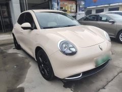 ORA Good Cat 401km Luxury - ფოტო 4