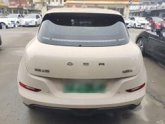 ORA Good Cat 401km Luxury - ფოტო 6