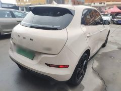 ORA Good Cat 401km Luxury - ფოტო 7