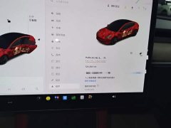 Tesla Model 3 Performance All-Wheel Drive 3D6 - ფოტო 12