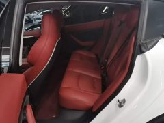 Tesla Model 3 Performance All-Wheel Drive 3D6 - ფოტო 17