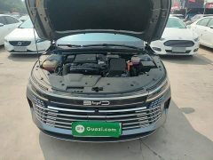 BYD Destroyer 05 Glory Edition DM-i 55KM Luxury - ფოტო 20