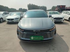 BYD Destroyer 05 Glory Edition DM-i 55KM Luxury - ფოტო 3