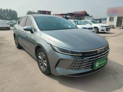 BYD Destroyer 05 Glory Edition DM-i 55KM Luxury - ფოტო 4