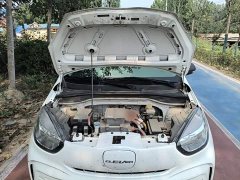 SAIC Corey Wei CLEVER 302km New Four-Seat Super Version - ფოტო 20
