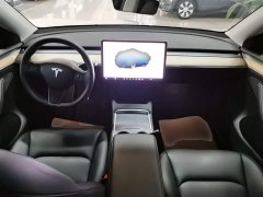 Tesla Model Y Rear-Wheel Drive - ფოტო 10