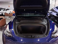 Tesla Model Y Rear-Wheel Drive - ფოტო 20