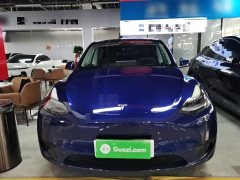 Tesla Model Y Rear-Wheel Drive - ფოტო 3