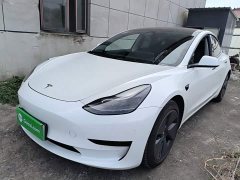 Tesla Model 3 Rear-Wheel Drive - ფოტო 1