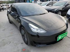 Tesla Model 3 Facelift Standard Range RWD Upgrade 3D1 - ფოტო 4