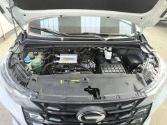 GAC Aion M6 PRO 270T DCT Luxury - ფოტო 20