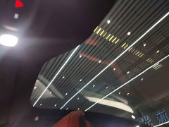 Xiaomi SU7 Rear-Wheel Drive Long Range Smart Driving Edition - ფოტო 18