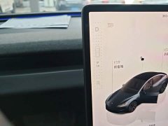 Tesla Model 3 2023 Rear-Wheel Drive - ფოტო 10