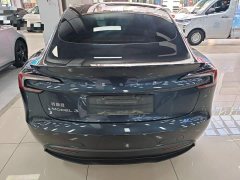 Tesla Model 3 2023 Rear-Wheel Drive - ფოტო 4