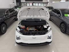 Geely Geometry E Firefly 301km Aurora - ფოტო 11