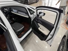 Geely Geometry E Firefly 301km Aurora - ფოტო 14