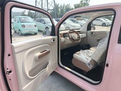 FAW Besturn Xiaoma 222km Colorful Edition - ფოტო 16