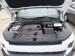 Geely Cowboy 2025 1.5TD Trendy Edition - ფოტო 20